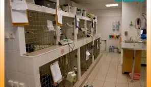 Ветеринарная клиника Ветдоктор на Профсоюзной улице Фото 3 на проекте Ekb.vetspravka.ru
