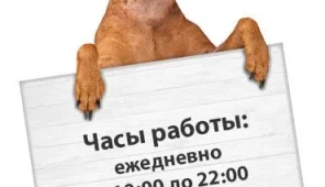 Ветеринарная клиника Здоровье животных Фото 3 на проекте Ekb.vetspravka.ru
