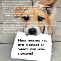 Ветеринарная клиника Сфера-9 на проекте Ekb.vetspravka.ru Ветеринарная клиника Сфера-9 на проекте Ekb.vetspravka.ru