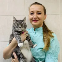 Ветеринарная станция Управление ветеринарии г. Екатеринбурга Фото 2 на проекте Ekb.vetspravka.ru Ветеринарная станция Управление ветеринарии г. Екатеринбурга Фото 2 на проекте Ekb.vetspravka.ru