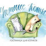 Гостиница для кошек Уютные коты Фото 1 на проекте VetSpravka.ru