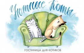 Гостиница для кошек Уютные коты Фото 1 на проекте Ekb.vetspravka.ru