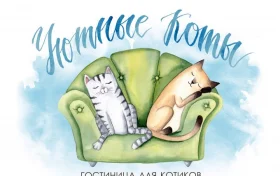 Гостиница для кошек Уютные коты Фото 2 на проекте Ekb.vetspravka.ru