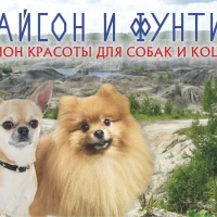 Салон красоты для собак и кошек Тайсон и Фунтик Фото 2 на проекте Ekb.vetspravka.ru Салон красоты для собак и кошек Тайсон и Фунтик Фото 2 на проекте Ekb.vetspravka.ru