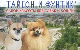 Салон красоты для собак и кошек Тайсон и Фунтик Фото 2 на проекте Ekb.vetspravka.ru