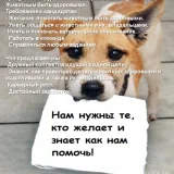Ветеринарная клиника Vet сфера-9  на проекте VetSpravka.ru